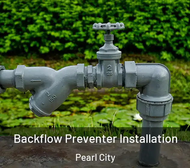  Backflow Preventer Installation Pearl City