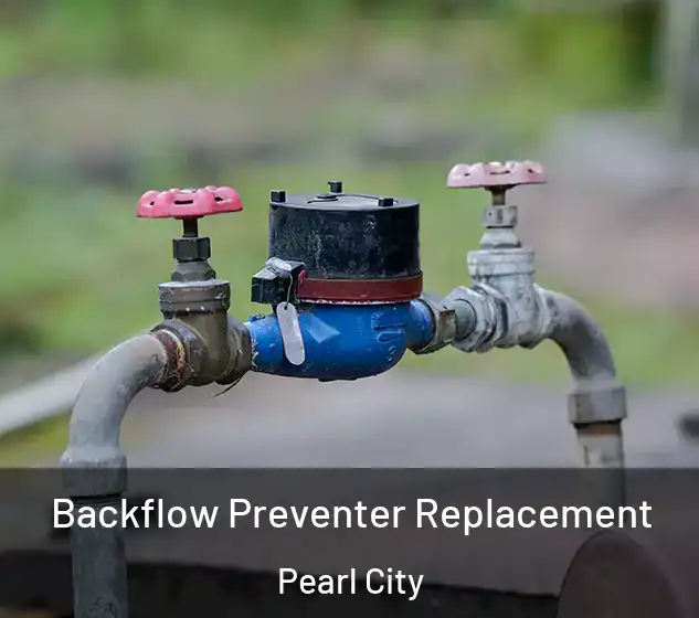  Backflow Preventer Replacement Pearl City