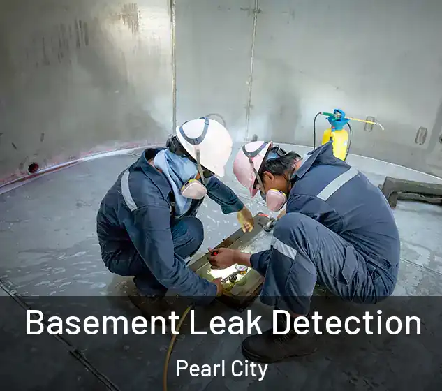  Basement Leak Detection Pearl City
