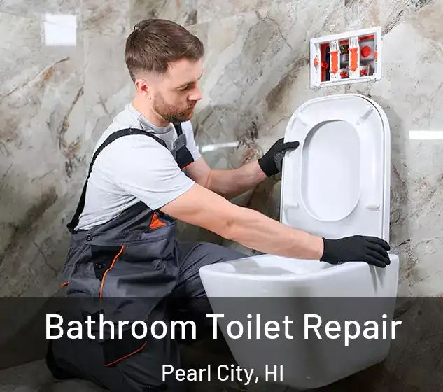  Bathroom Toilet Repair Pearl City, HI