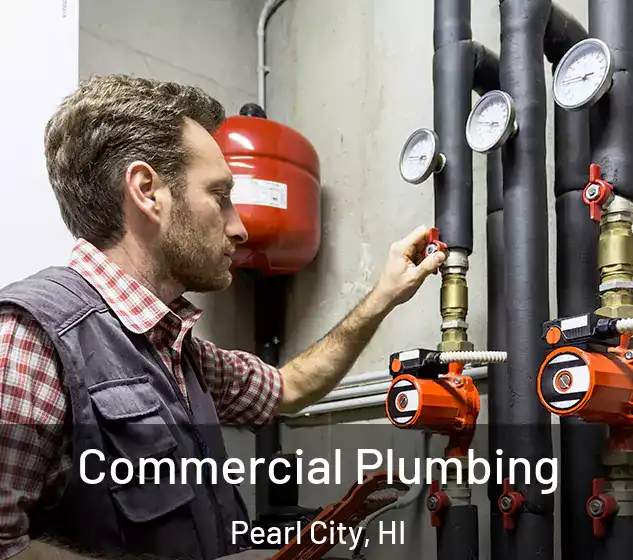  Commercial Plumbing Pearl City, HI