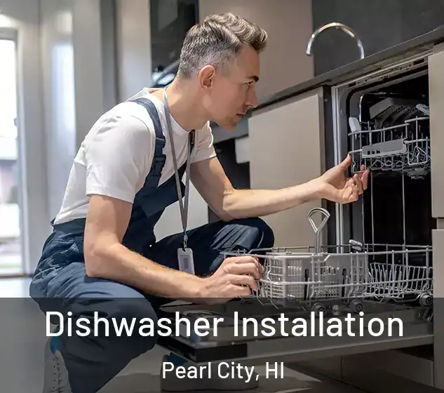  Dishwasher Installation Pearl City, HI