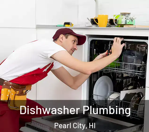  Dishwasher Plumbing Pearl City, HI