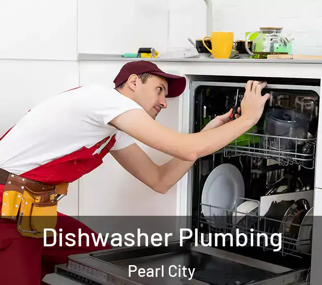  Dishwasher Plumbing Pearl City