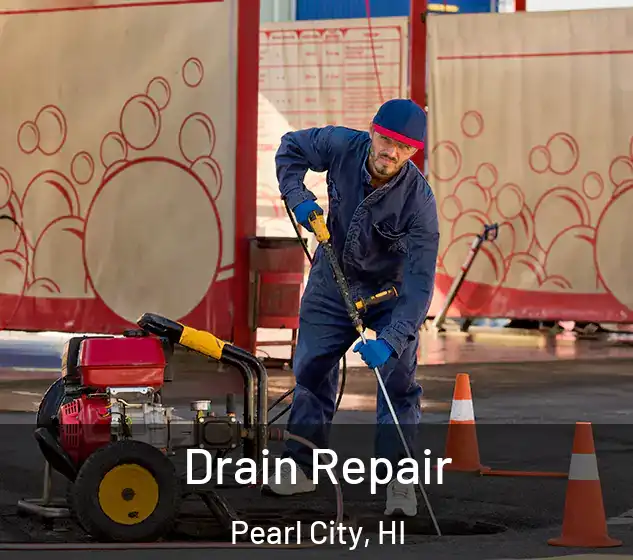  Drain Repair Pearl City, HI