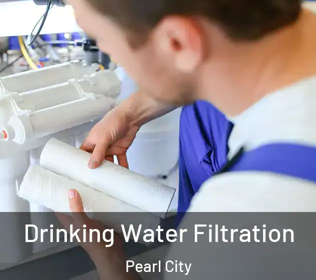  Drinking Water Filtration Pearl City