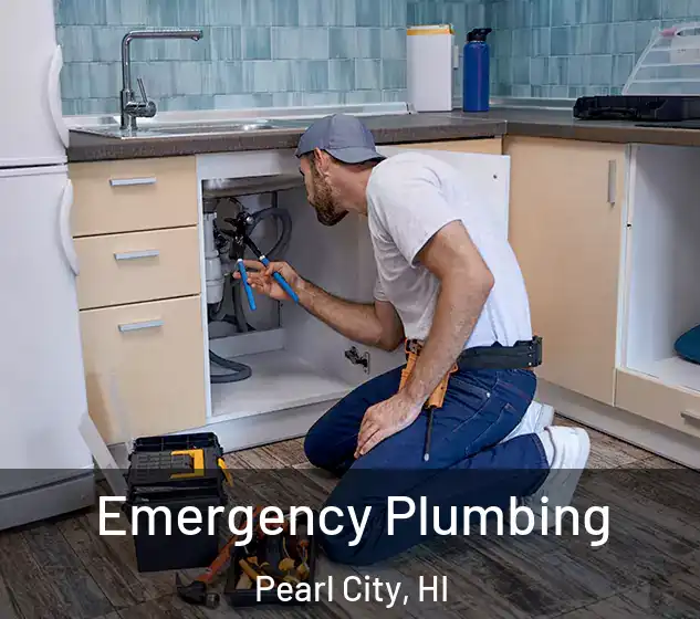  Emergency Plumbing Pearl City, HI
