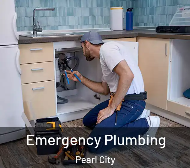  Emergency Plumbing Pearl City
