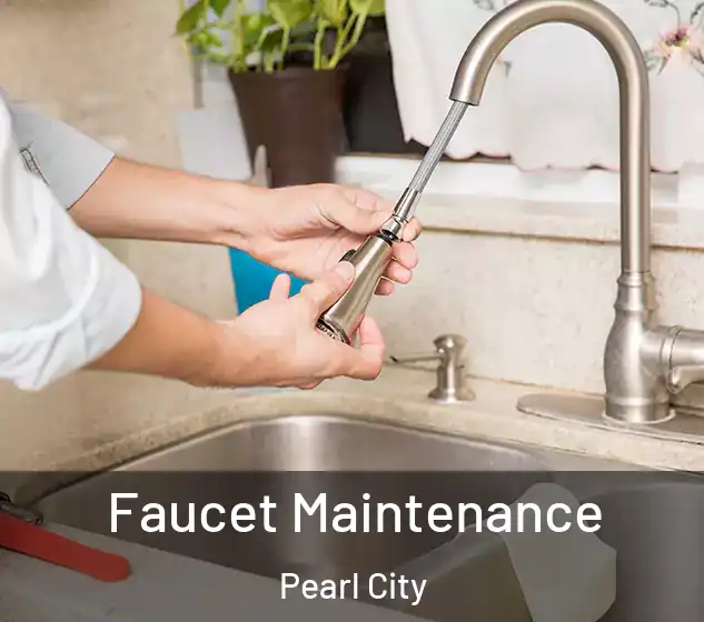  Faucet Maintenance Pearl City