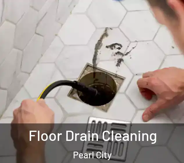  Floor Drain Cleaning Pearl City