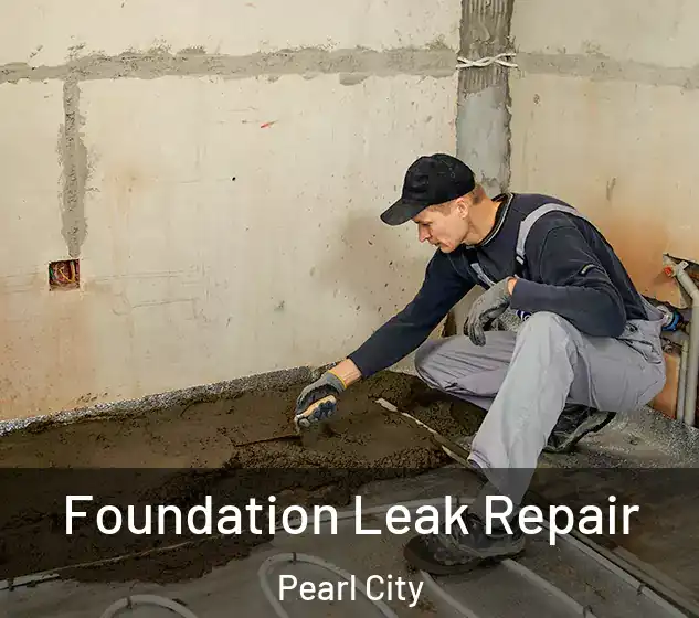  Foundation Leak Repair Pearl City