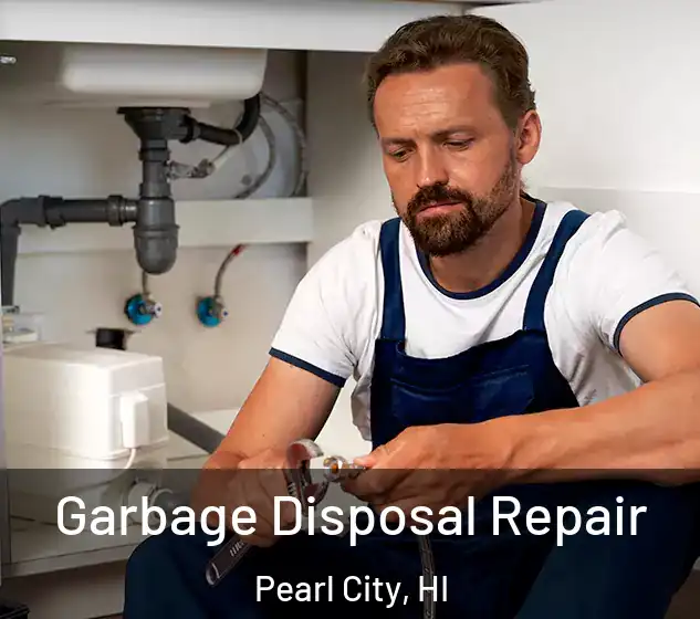  Garbage Disposal Repair Pearl City, HI