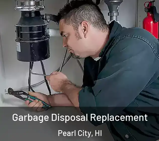  Garbage Disposal Replacement Pearl City, HI