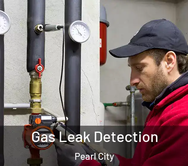 Gas Leak Detection Pearl City