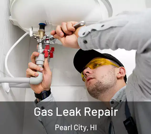  Gas Leak Repair Pearl City, HI