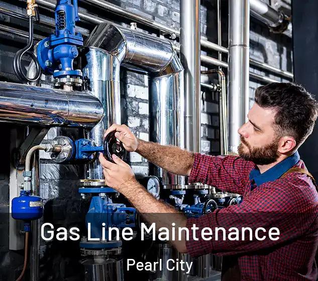  Gas Line Maintenance Pearl City