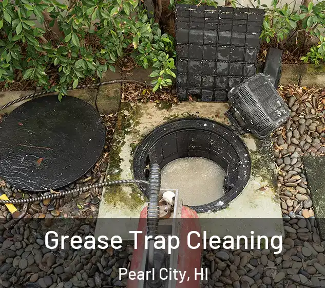  Grease Trap Cleaning Pearl City, HI