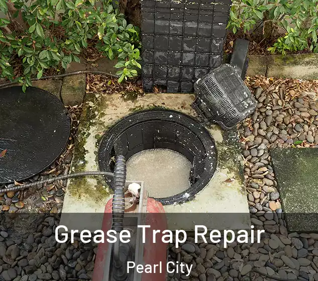  Grease Trap Repair Pearl City