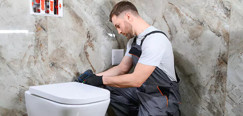 Scope of Bathroom Toilet Replacement Services in Pearl City, HI