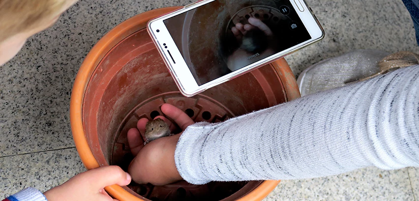 Scope of Drain Camera Inspection Services in Pearl City, HI