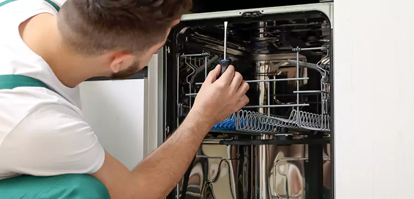 Scope of Kitchen Dishwasher Plumbing Services in Pearl City, HI
