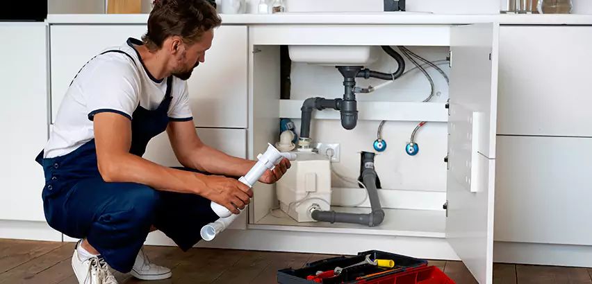 Scope of Kitchen Garbage Disposal Replacement Services in Pearl City, HI