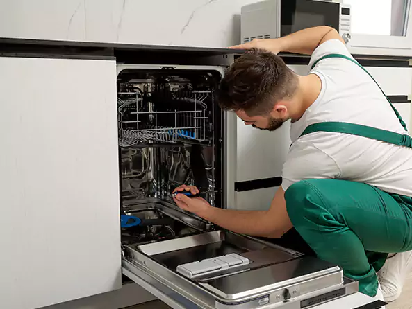 Why Pearl City Plumbing is the First Choice for Kitchen Dishwasher Installation Services in Pearl City, HI?