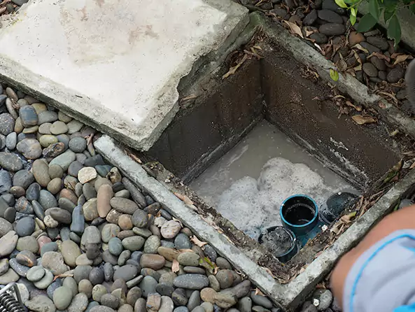 Why Pearl City Plumbing is the First Choice for Kitchen Grease Trap Cleaning Services in Pearl City, HI?