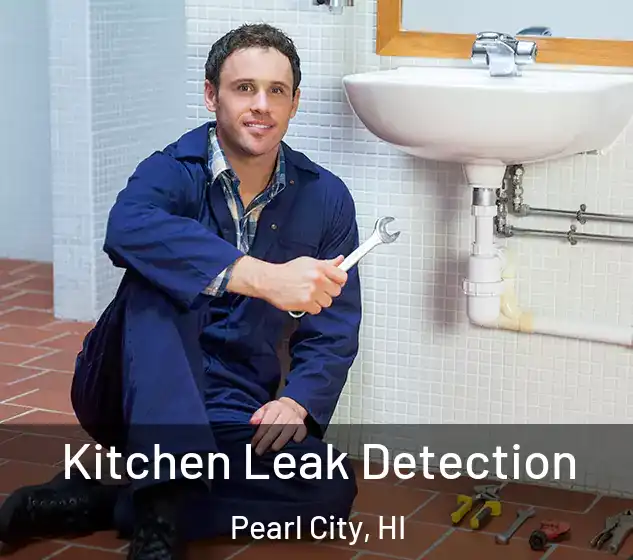  Kitchen Leak Detection Pearl City, HI