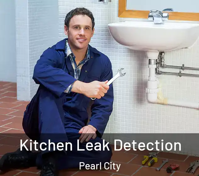  Kitchen Leak Detection Pearl City