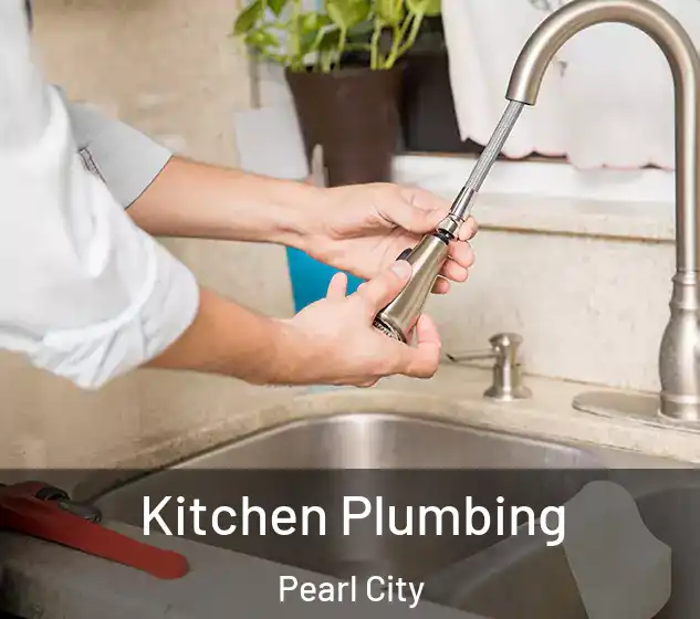  Kitchen Plumbing Pearl City