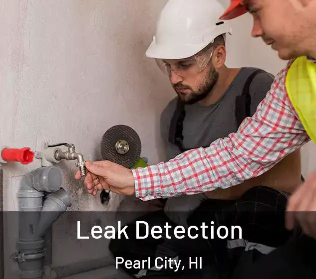  Leak Detection Pearl City, HI