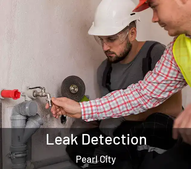  Leak Detection Pearl City