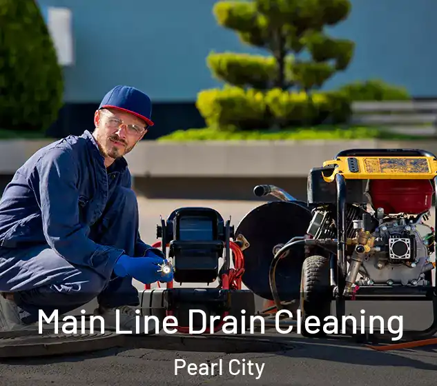  Main Line Drain Cleaning Pearl City