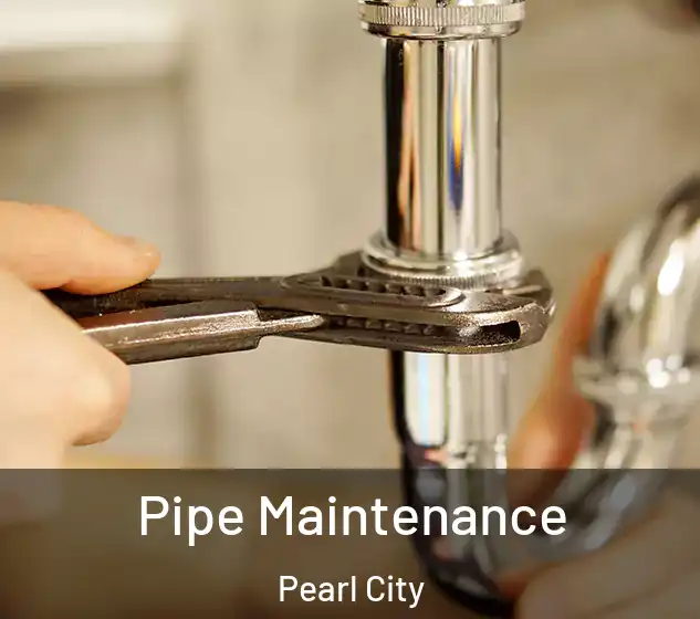  Pipe Maintenance Pearl City