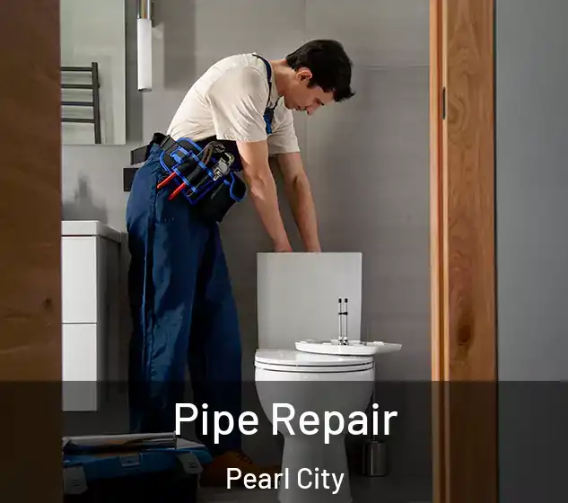  Pipe Repair Pearl City