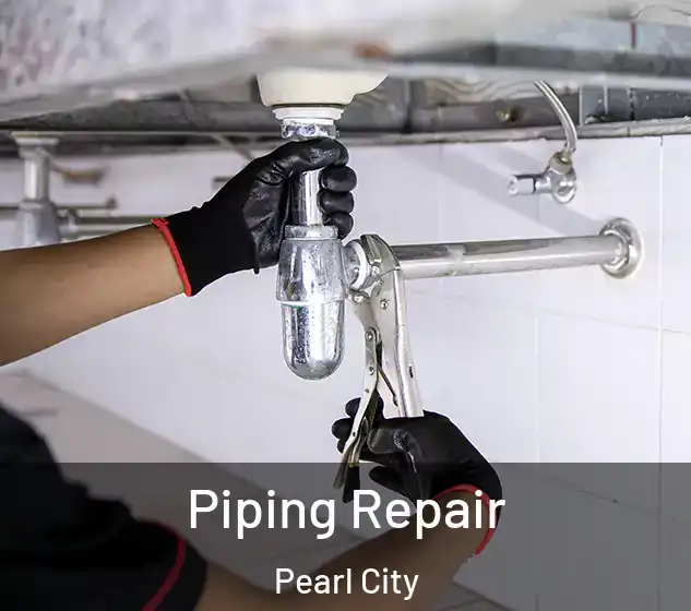  Piping Repair Pearl City