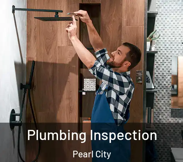  Plumbing Inspection Pearl City