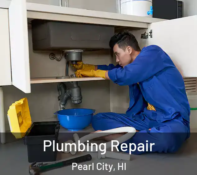  Plumbing Repair Pearl City, HI