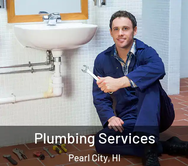  Plumbing Services Pearl City, HI