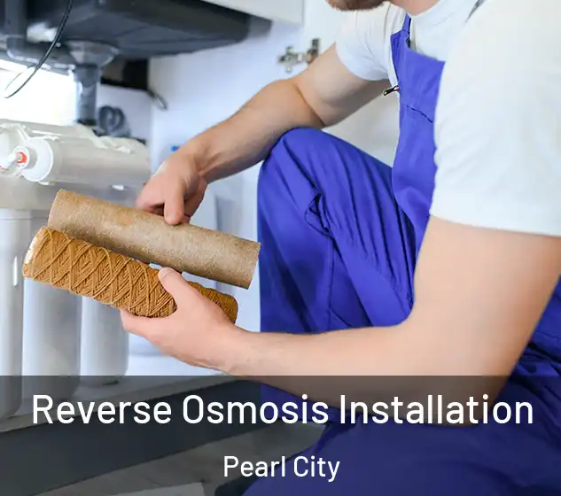 Reverse Osmosis Installation Pearl City