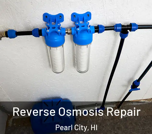  Reverse Osmosis Repair Pearl City, HI