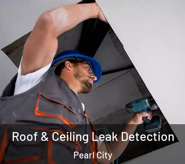  Roof & Ceiling Leak Detection Pearl City