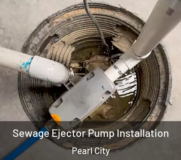  Sewage Ejector Pump Installation Pearl City