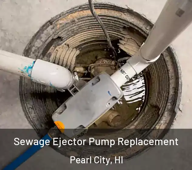  Sewage Ejector Pump Replacement Pearl City, HI