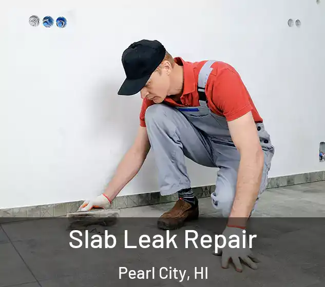  Slab Leak Repair Pearl City, HI