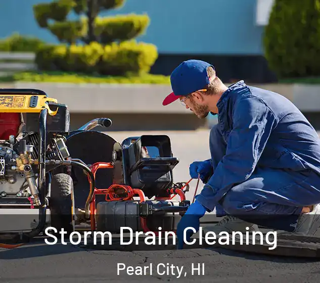  Storm Drain Cleaning Pearl City, HI