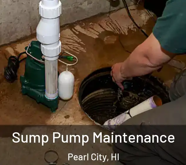  Sump Pump Maintenance Pearl City, HI