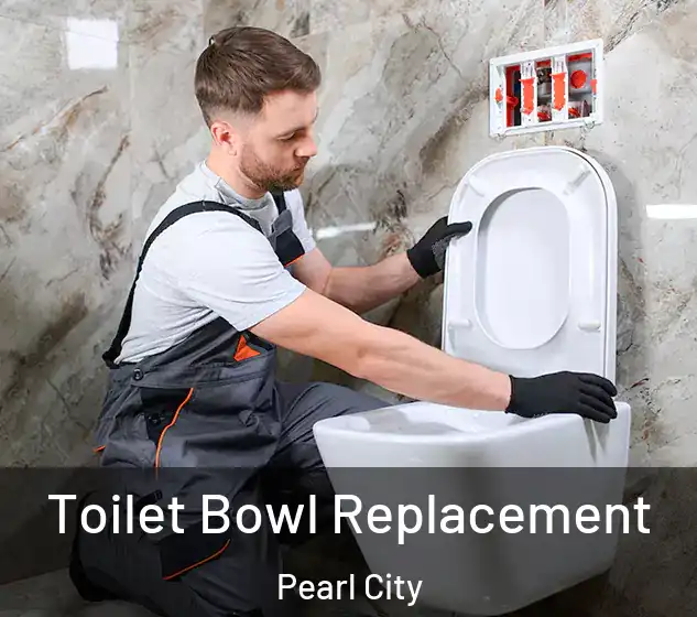  Toilet Bowl Replacement Pearl City