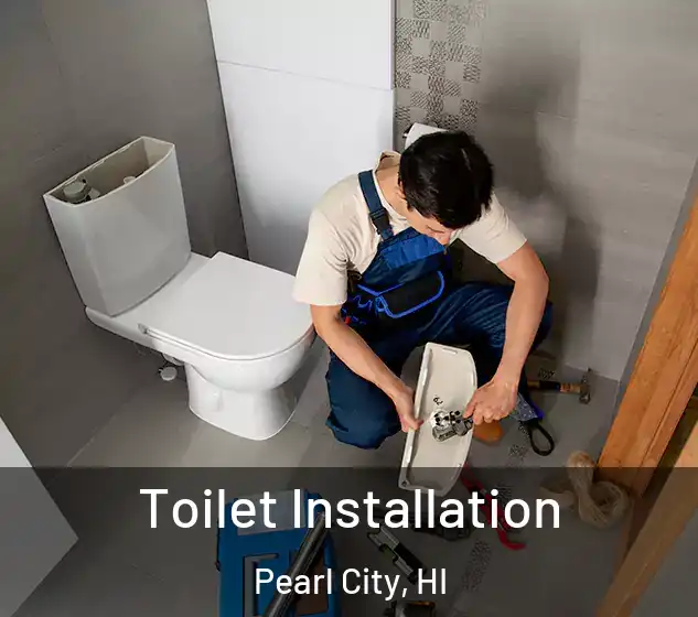  Toilet Installation Pearl City, HI